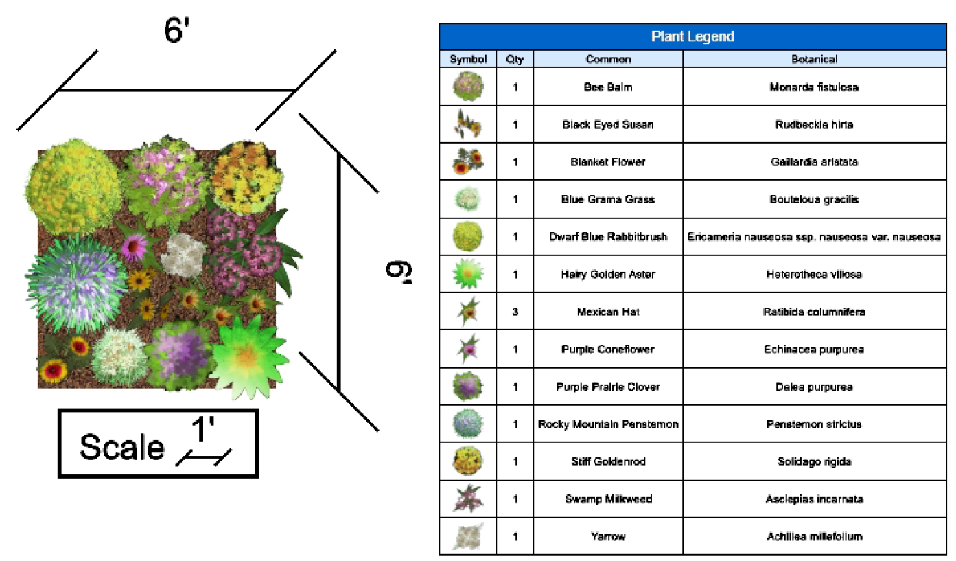 Bundle: Small Full Sun Garden