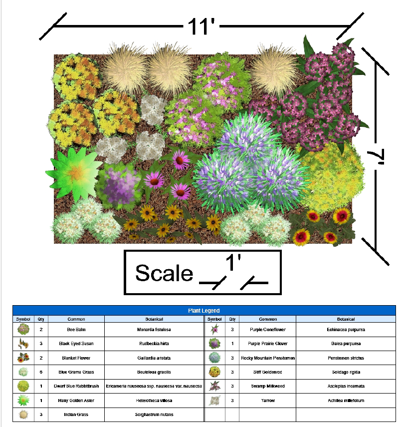 Bundle: Large Full Sun Garden
