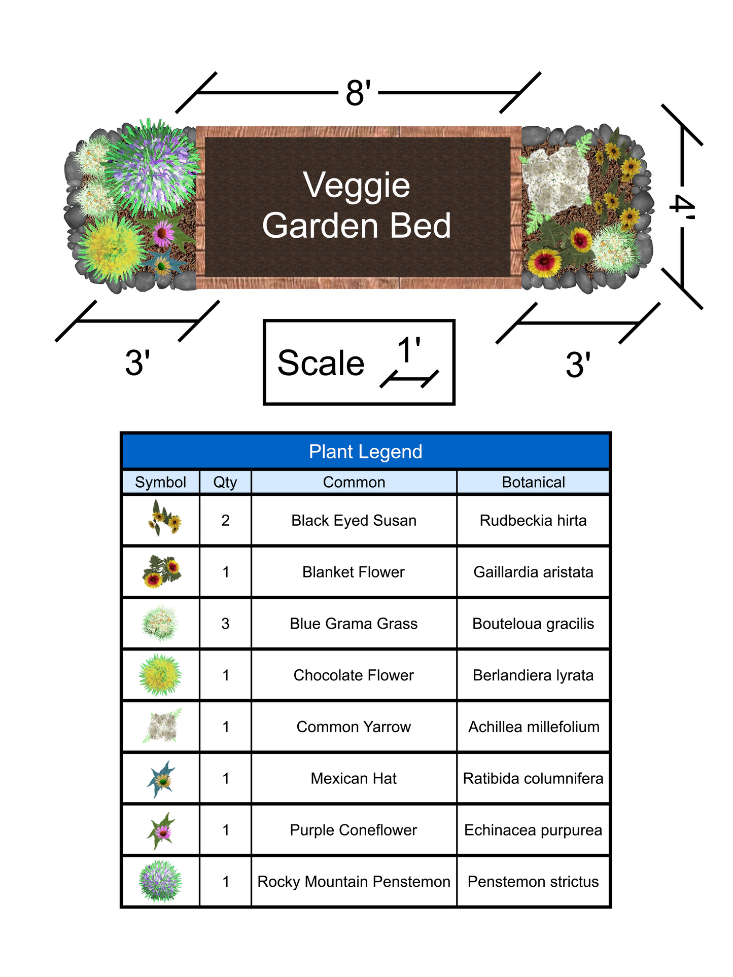 Veggie Garden Pollinator Companion Garden - Full Sun