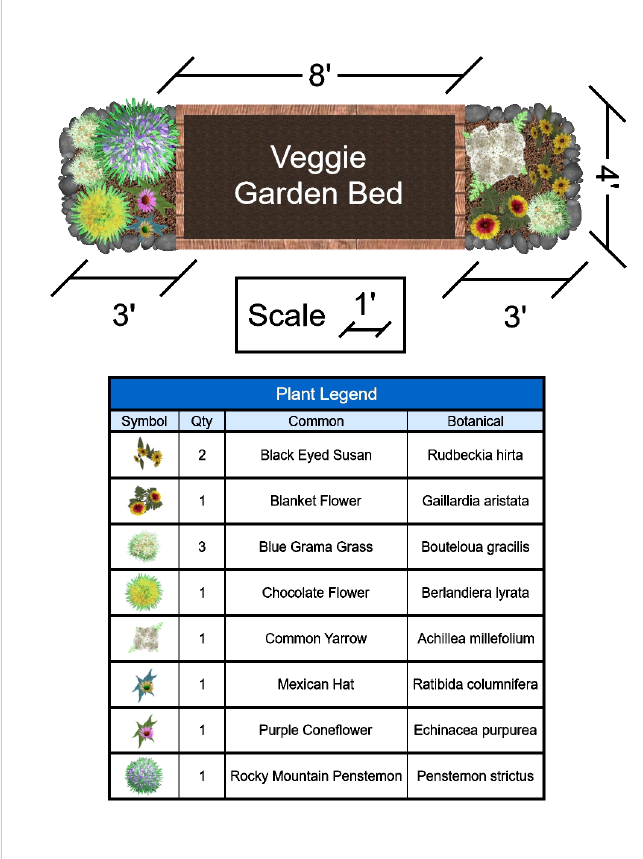 Veggie Garden Pollinator Companion Garden - Full Sun