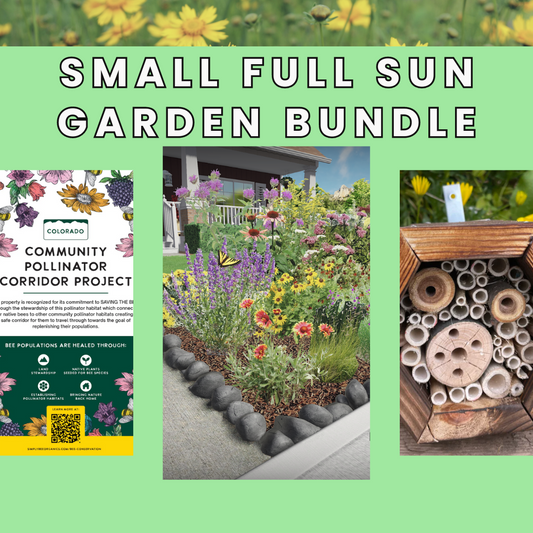 Bundle: Small Full Sun Garden