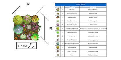 Small Full Sun Garden