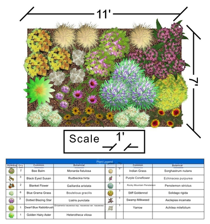 Large Full Sun Garden
