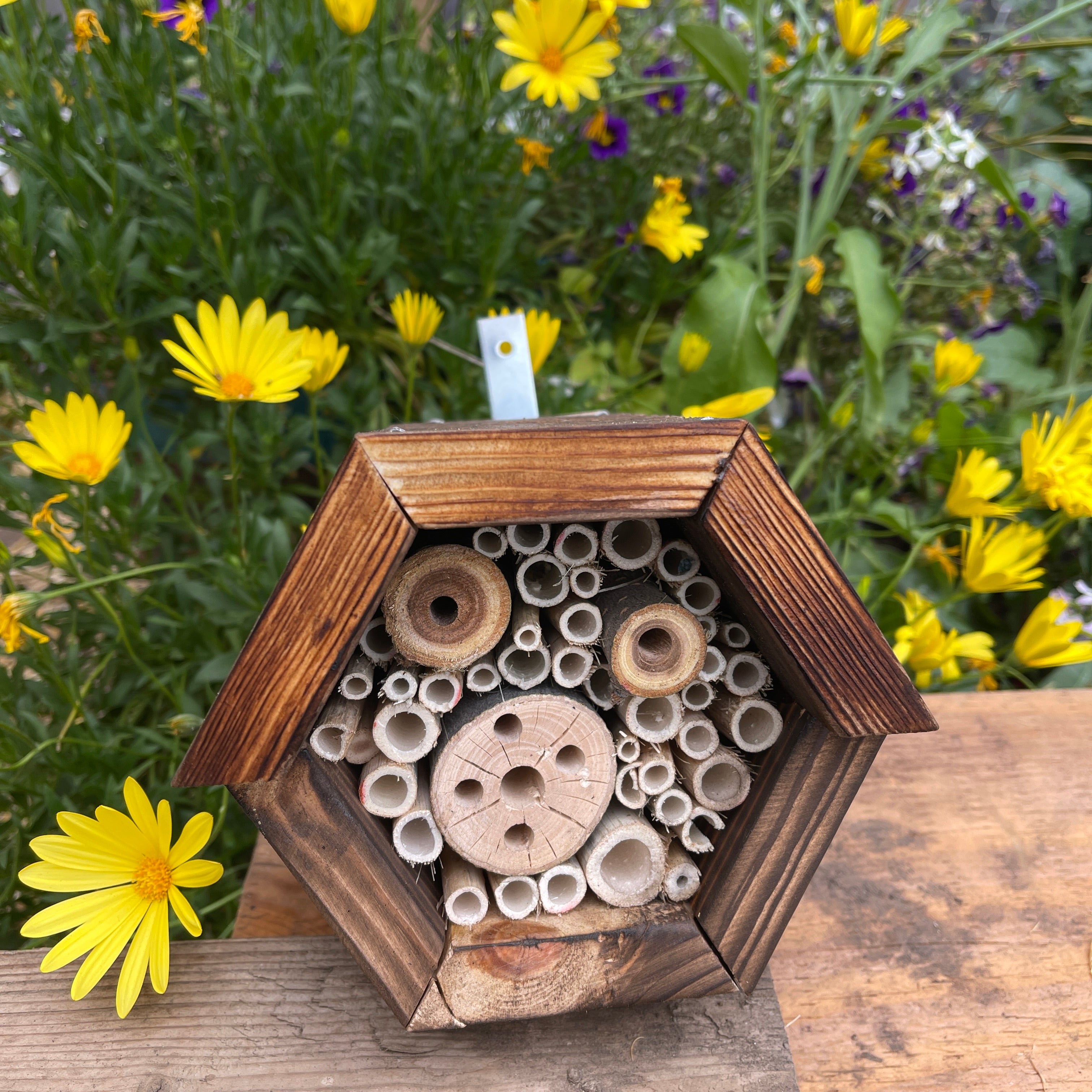 Bee House – Simply Bee Conservation