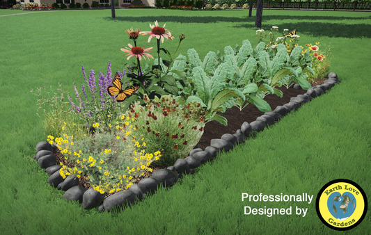 Veggie Garden Pollinator Companion Garden - Full Sun