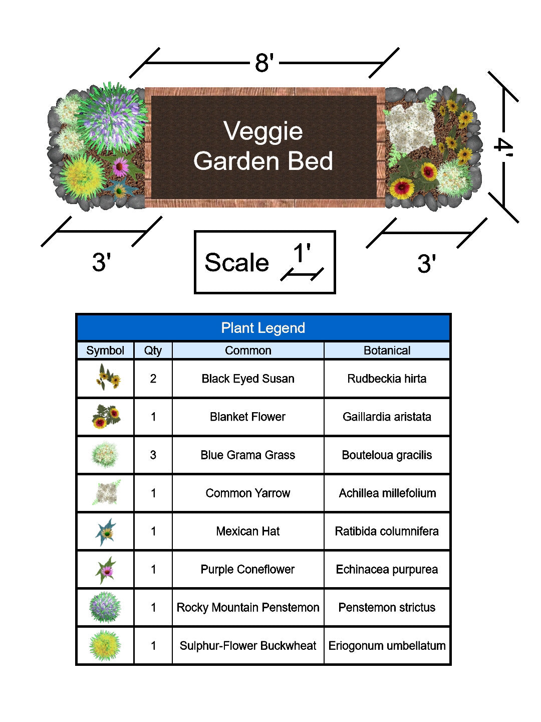 Veggie Garden Pollinator Companion Garden - Full Sun